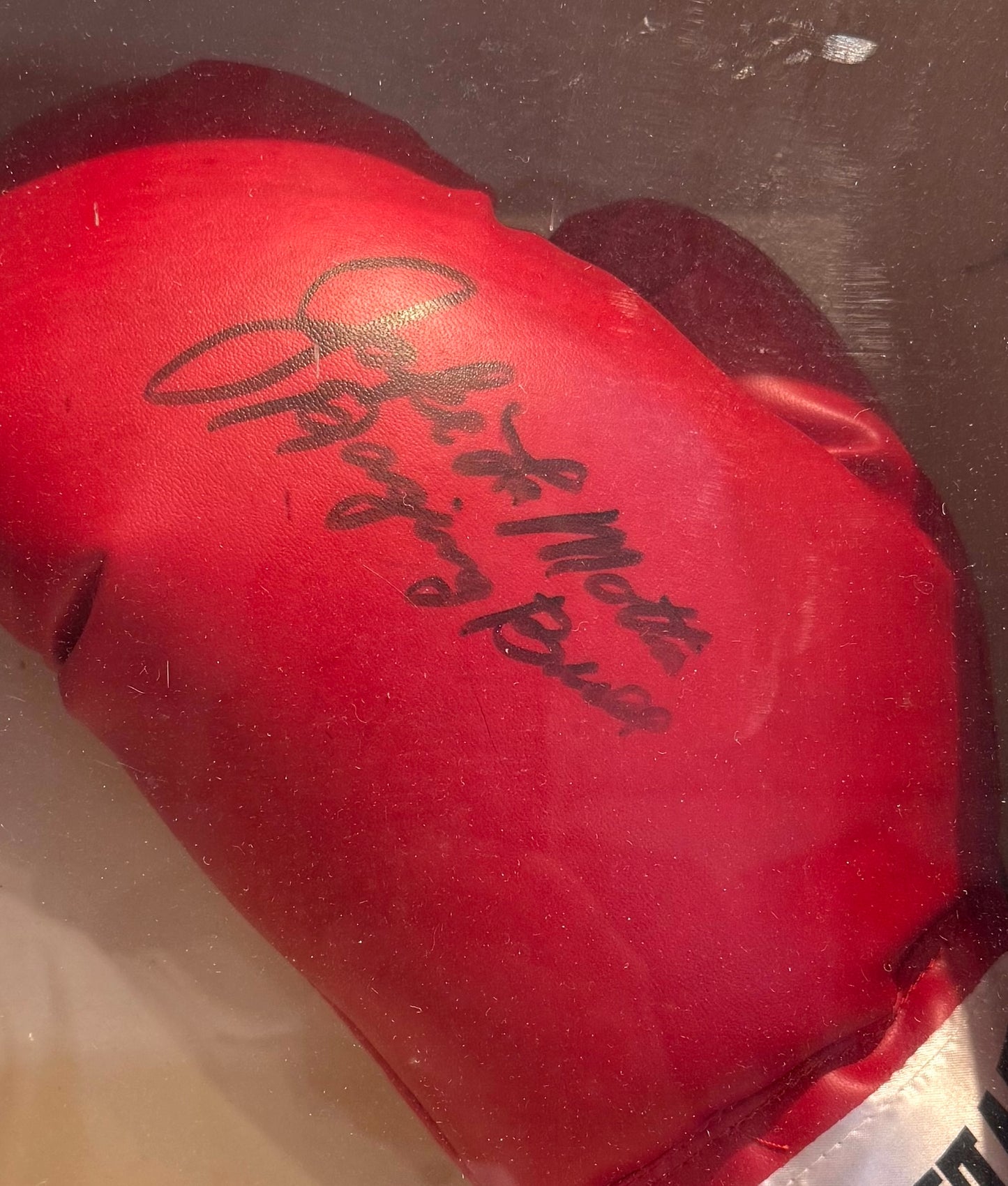 Jake LaMotta, Hand Signed Boxing Glove Presentation, 35cm x 20cm Framed & COA