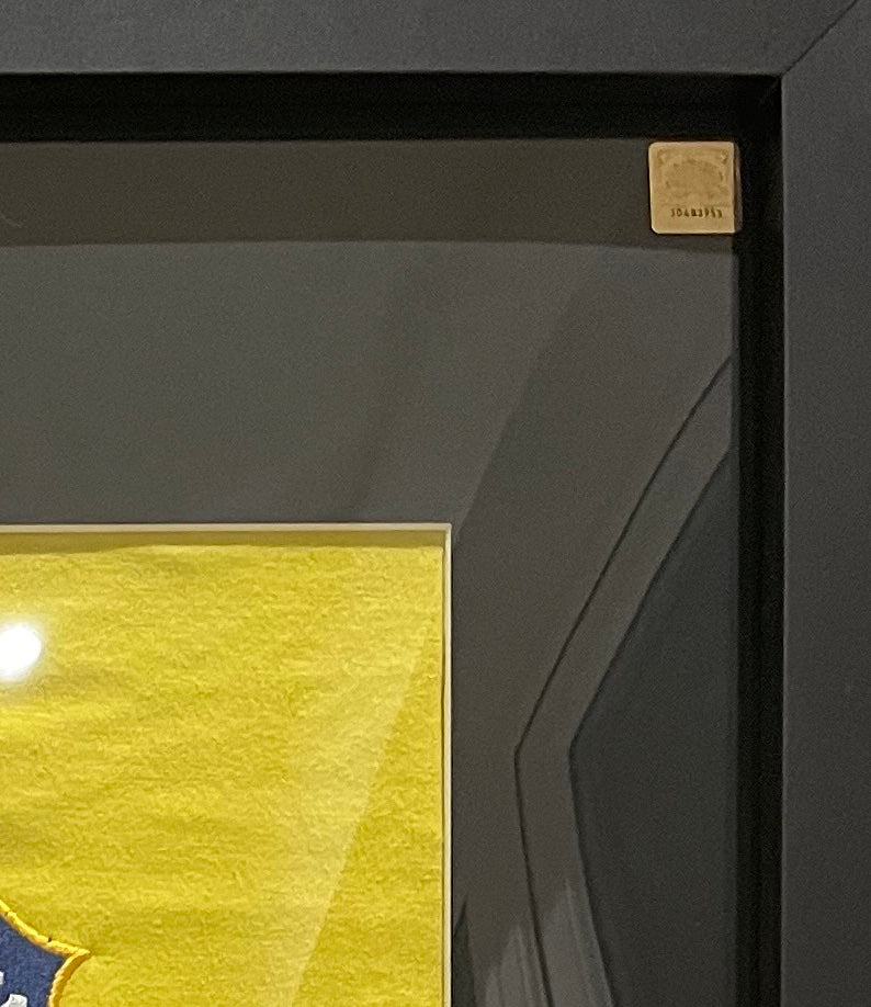 Pele, Hand Signed Framed Brazil Shirt With COA