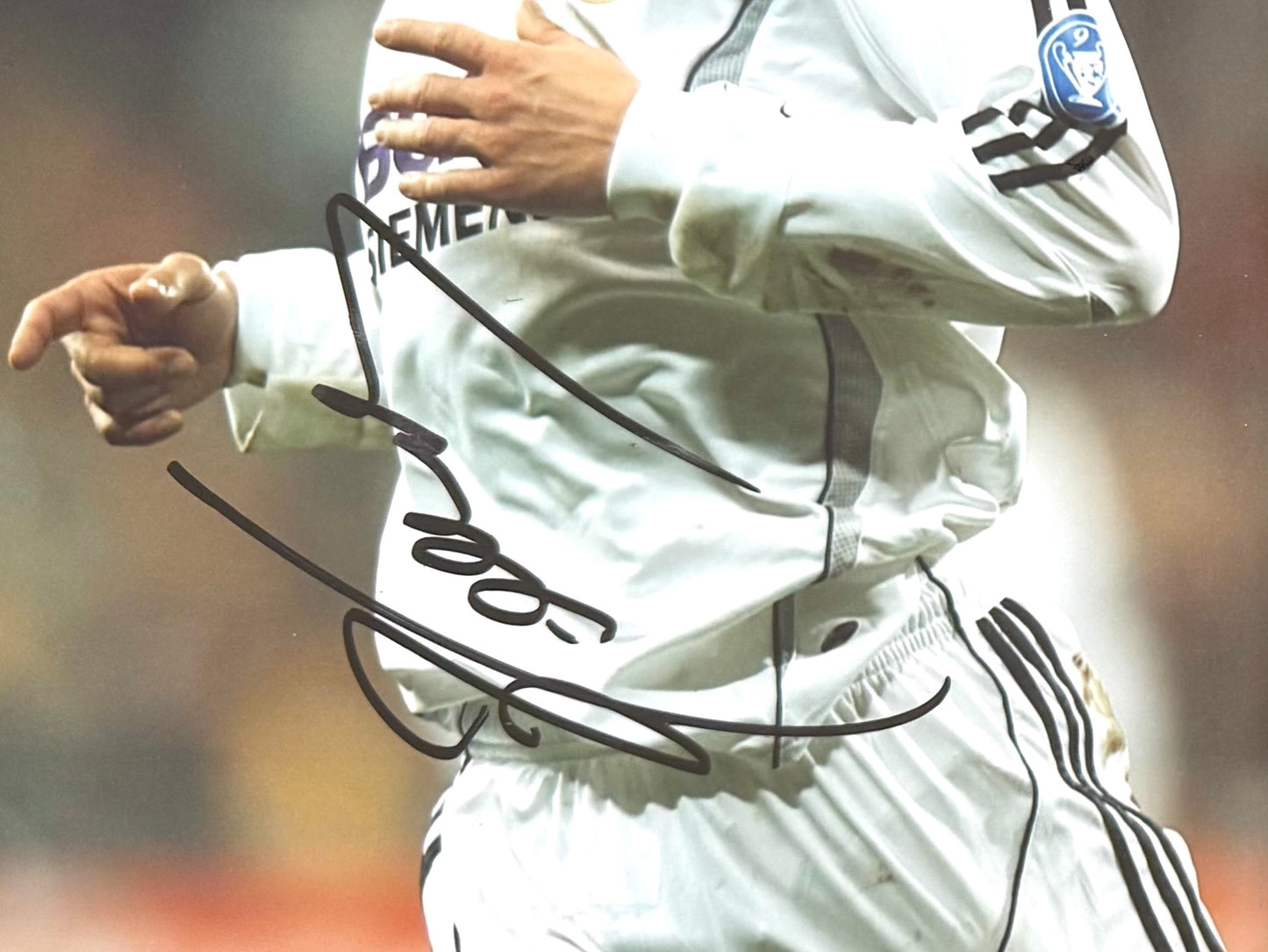 Fabio Cannavaro, Real Madrid, Italian Footballing Legend, Hand Signed Photo & COA