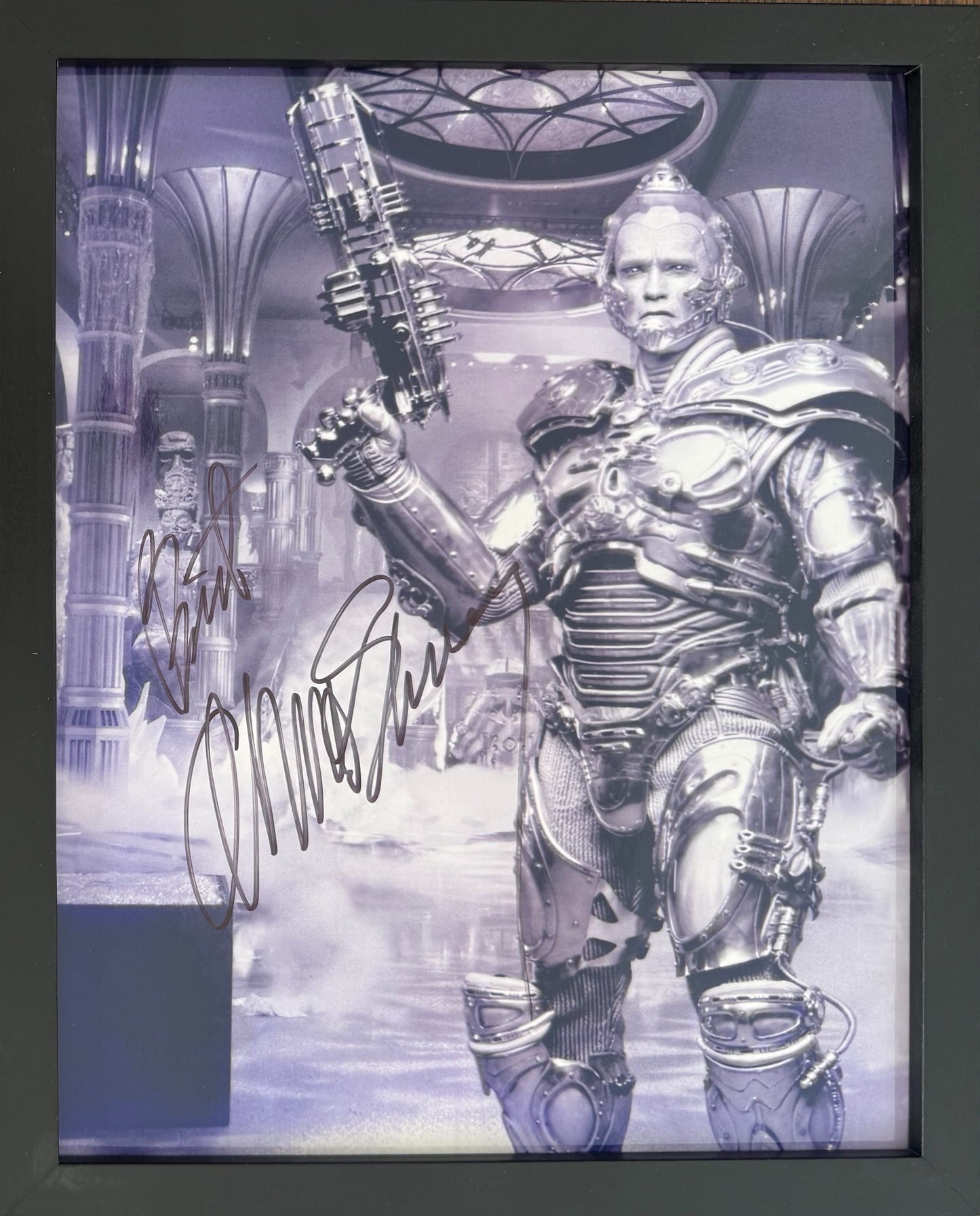 Arnold Schwarzenegger, Actor, Hand Signed Framed, Mounted Original Photo & COA