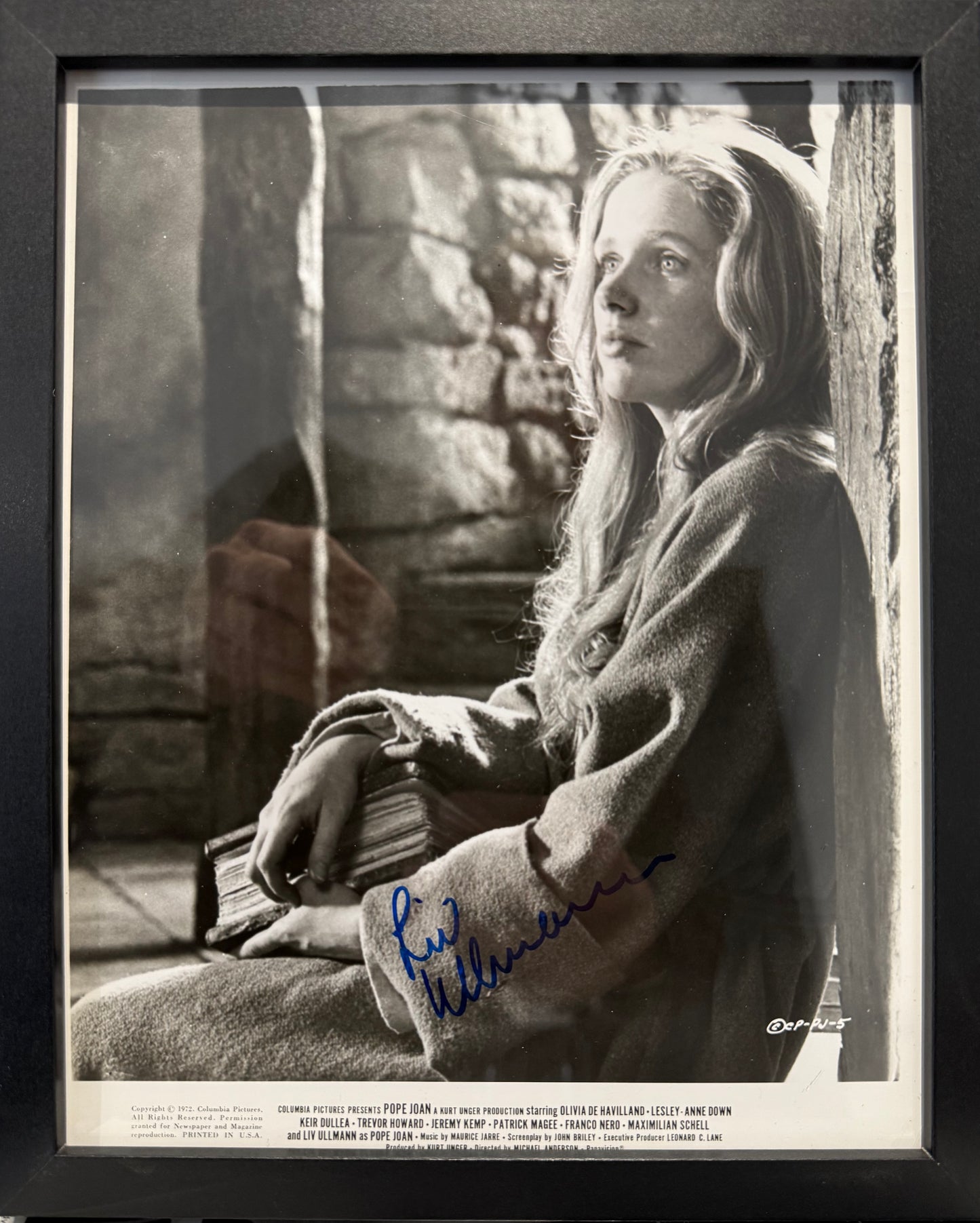 Liv Ullman, Actress, Director, Hand Signed Framed Official Film Photo & COA