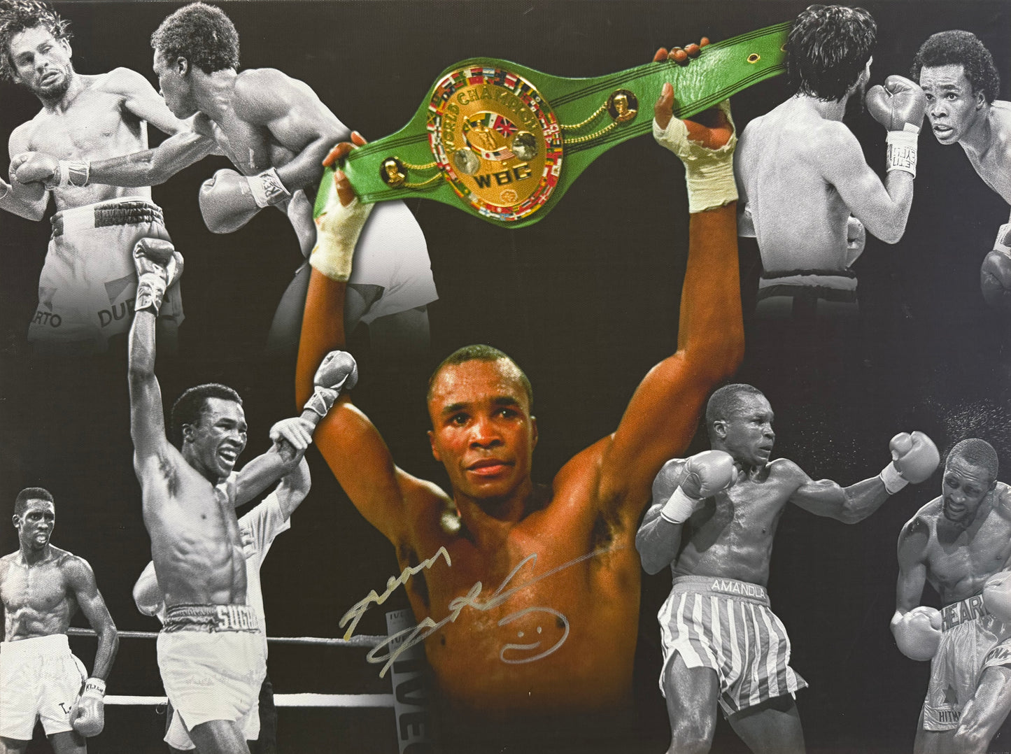 Sugar Ray Leonard, Boxing Legend, Hand Signed Canvas (60cm x 45cm), & AFTAL Member COA