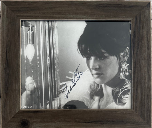 Julie Christie, Iconic British Actress, Hand Signed Photo & COA