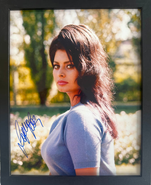 Sophia Loren, Guaranteed Hand Signed Framed (10' x 8' inch) Photo With COA