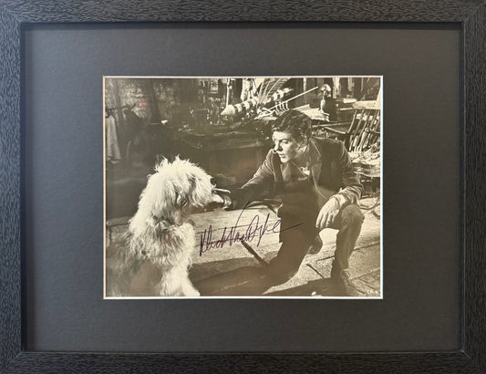 Dick Van Dyke, Iconic Actor, Hand Signed Framed, Mounted Original Chitty Chitty Bang Bang Photo With COA