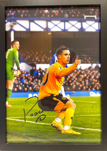 DANIEL PODENCE WOLVERHAMPTON WANDERERS HAND SIGNED PHOTO WITH COA