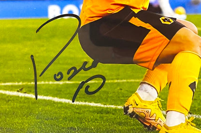 DANIEL PODENCE WOLVERHAMPTON WANDERERS HAND SIGNED PHOTO WITH COA