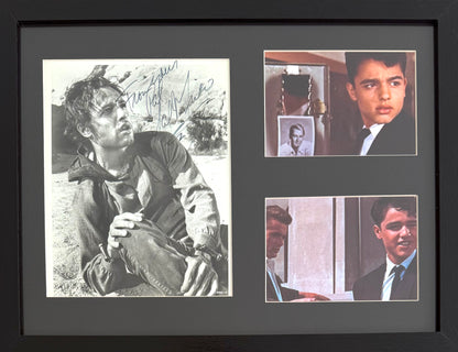 Sal Mineo, Rebel Without A Cause Actor, Hand Signed Framed Mounted Original Photo & AFTAL COA