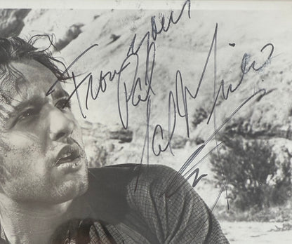 Sal Mineo, Rebel Without A Cause Actor, Hand Signed Framed Mounted Original Photo & AFTAL COA