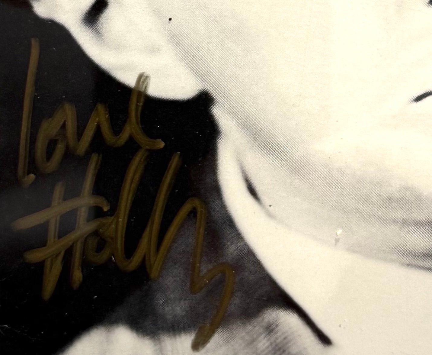 Holly Johnson, Frankie Goes To Hollywood, Hand Signed Photo Presentation With COA