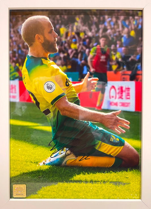 TEEMU PUKKI FORMER NORWICH CITY FC HAND SIGNED PHOTO WITH COA