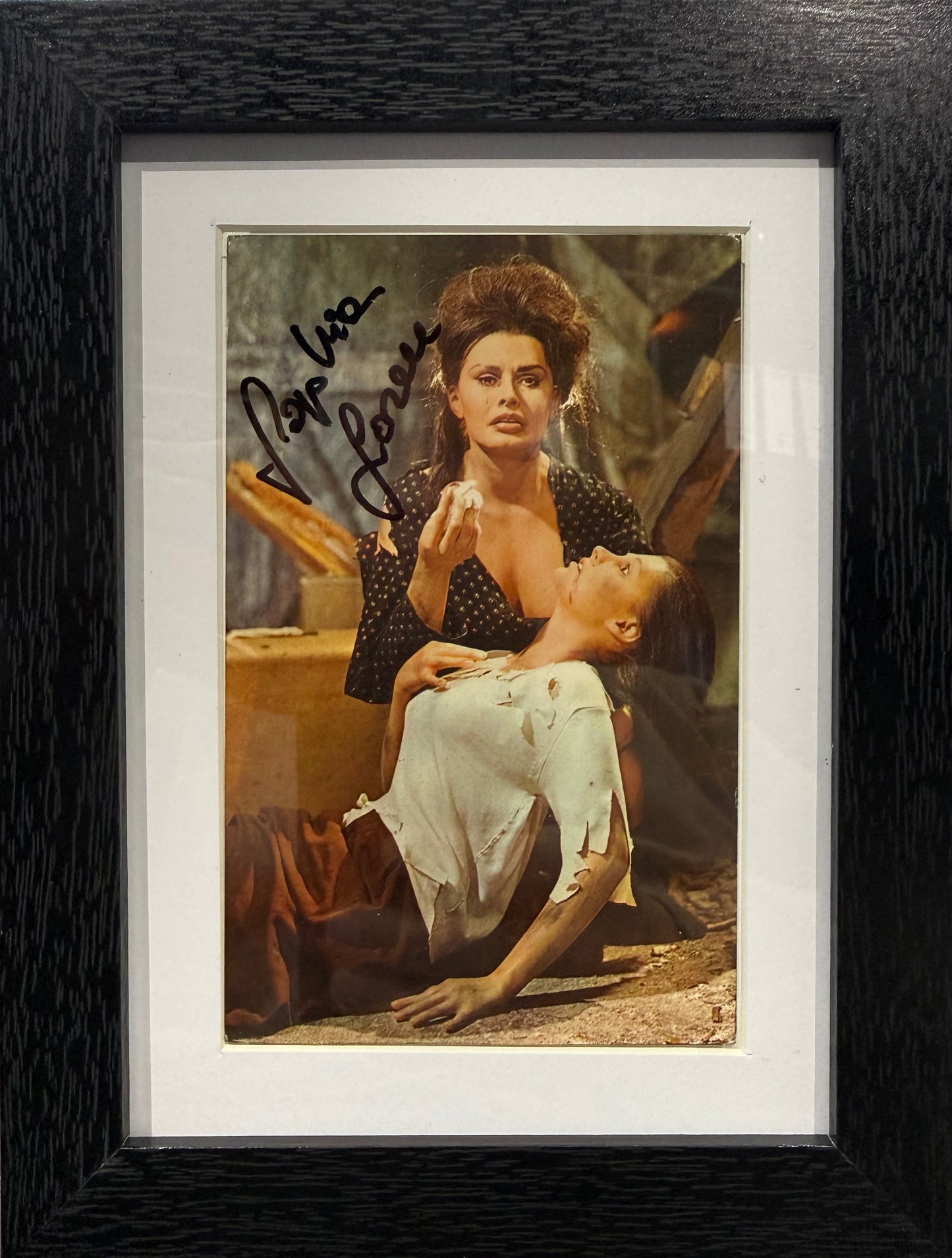 Sophia Loren, Guaranteed Hand Signed Framed (15 x 10cm) Photo With COA