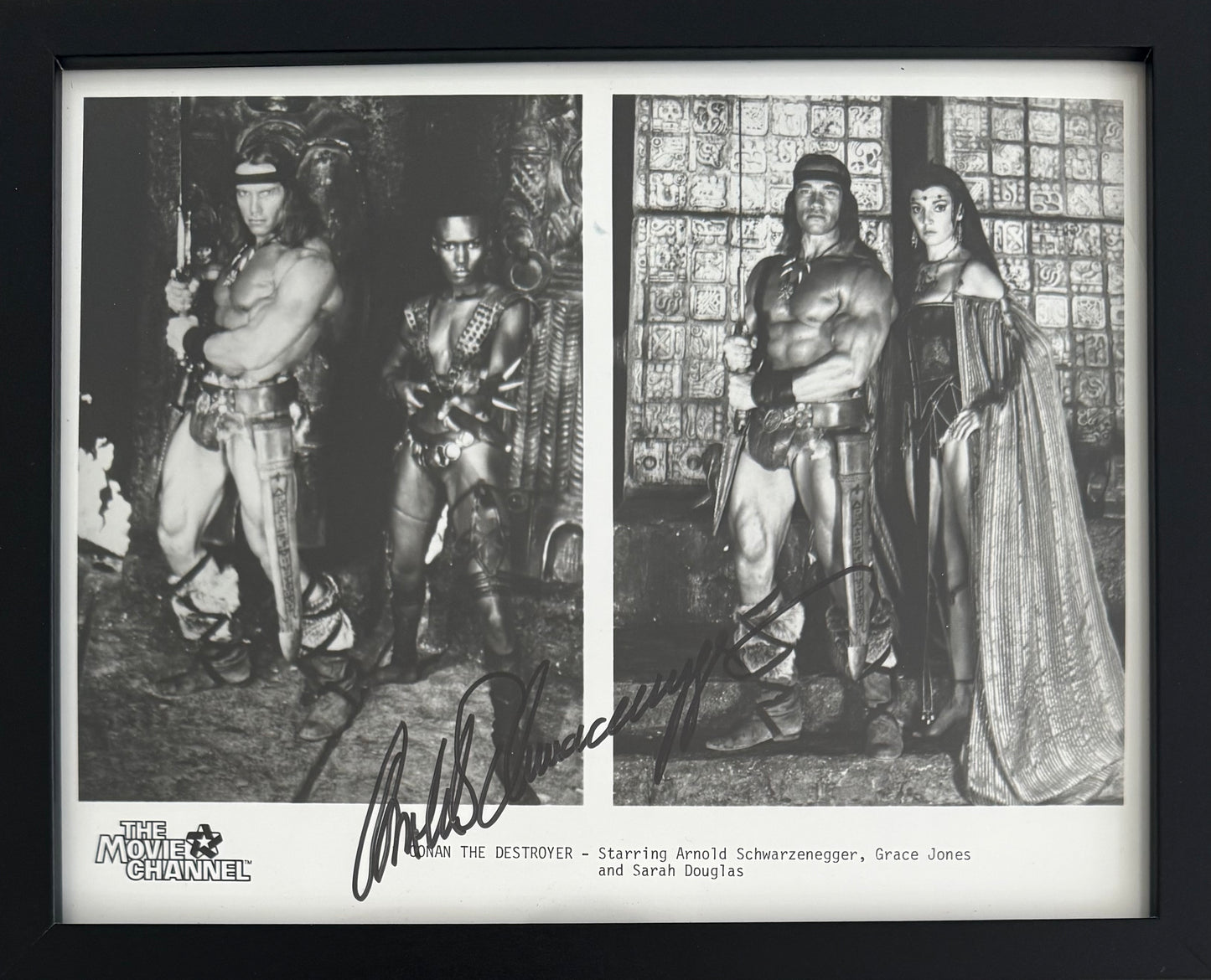 Arnold Schwarzenegger, Actor, Hand Signed Framed, Mounted Original Photo & COA