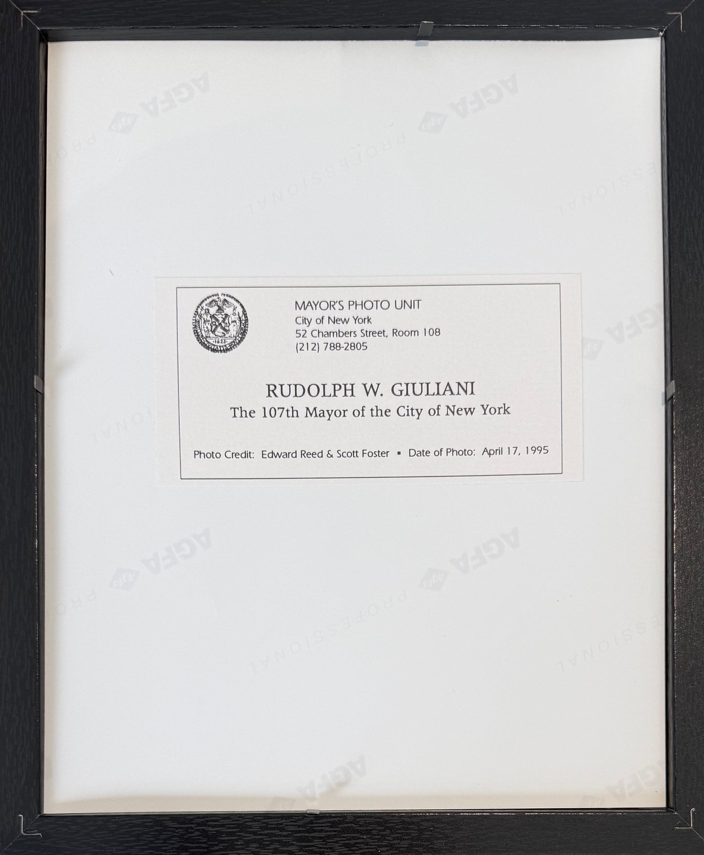 Rudy Giuliani, New York Mayer, Hand Signed Original 25cm x 20cm Photo Presentation, With COA
