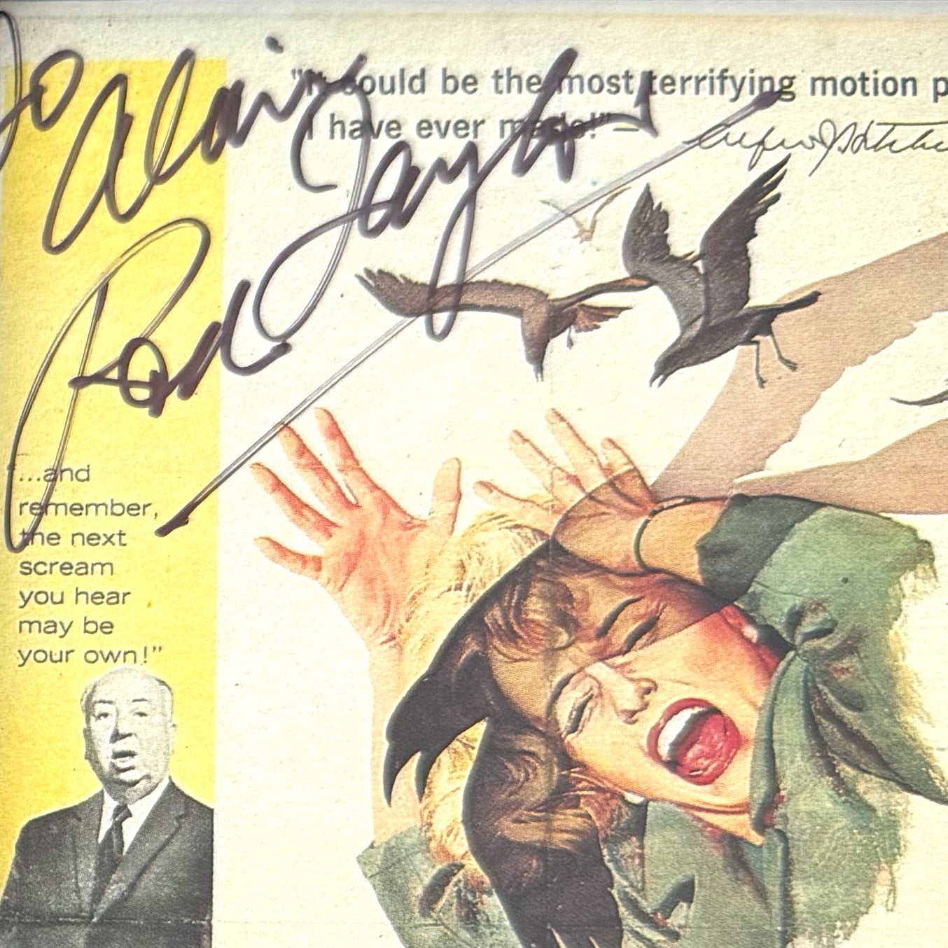 Rod Taylor, Iconic Australian Actor, Hand Signed Framed Official 'The Birds' Postcard With COA