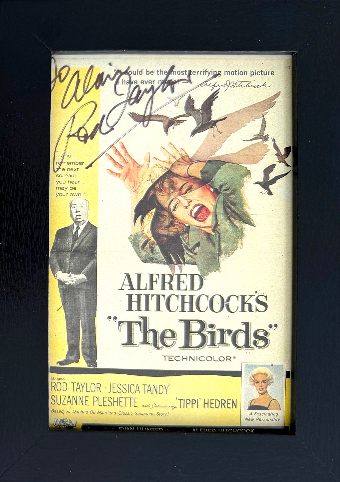 Rod Taylor, Iconic Australian Actor, Hand Signed Framed Official 'The Birds' Postcard With COA