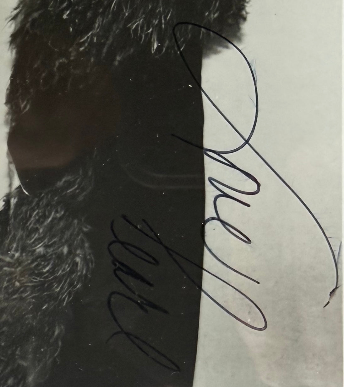 Pearl Bailey, Actress, Singer, Hand Signed Framed Photo & COA