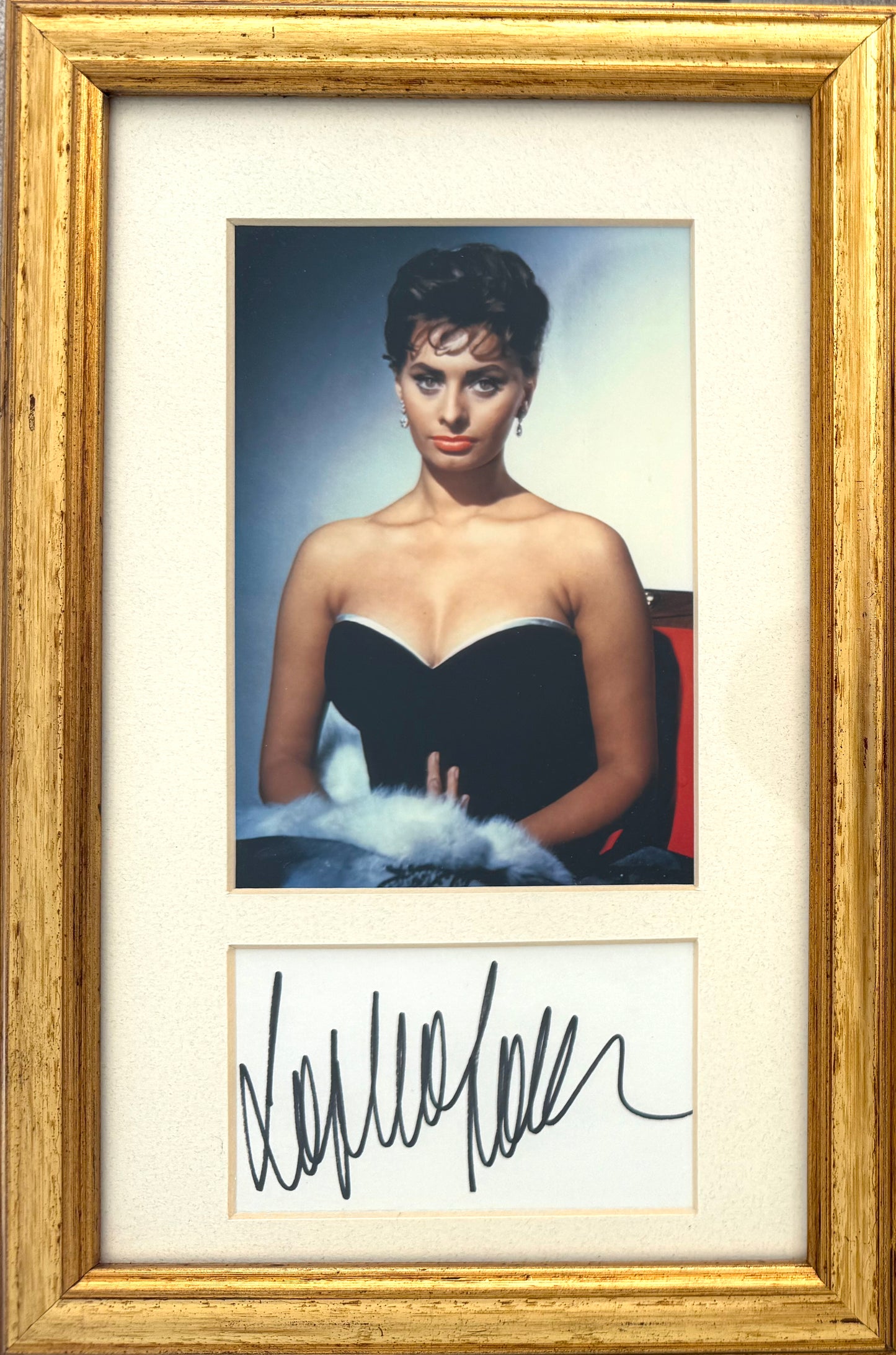 Sophia Loren, Guaranteed Hand Signed Card Presentation, Framed (30cm x 20cm) & AFTAL Member COA