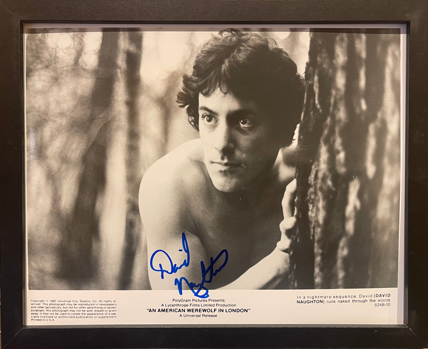 DAVID NAUGHTON 'AN AMERICAN WEREWOLF IN LONDON' HAND SIGNED PROMO PHOTO WITH COA