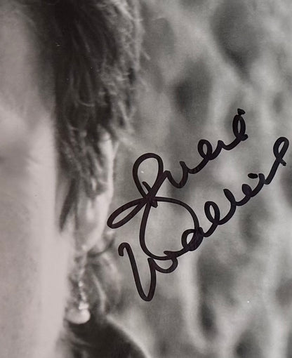 Julie Walters, Actress, Hand Signed Card, Mounted Photo 35cm x 30cm & COA