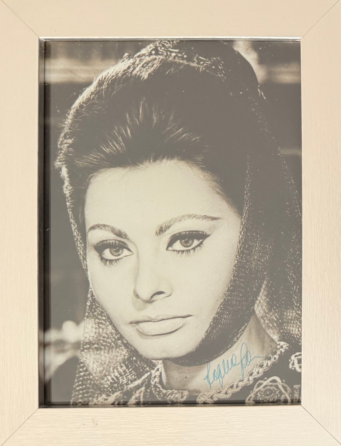 Sophia Loren, Guaranteed Hand Signed Framed (15 x 10cm) Photo With COA