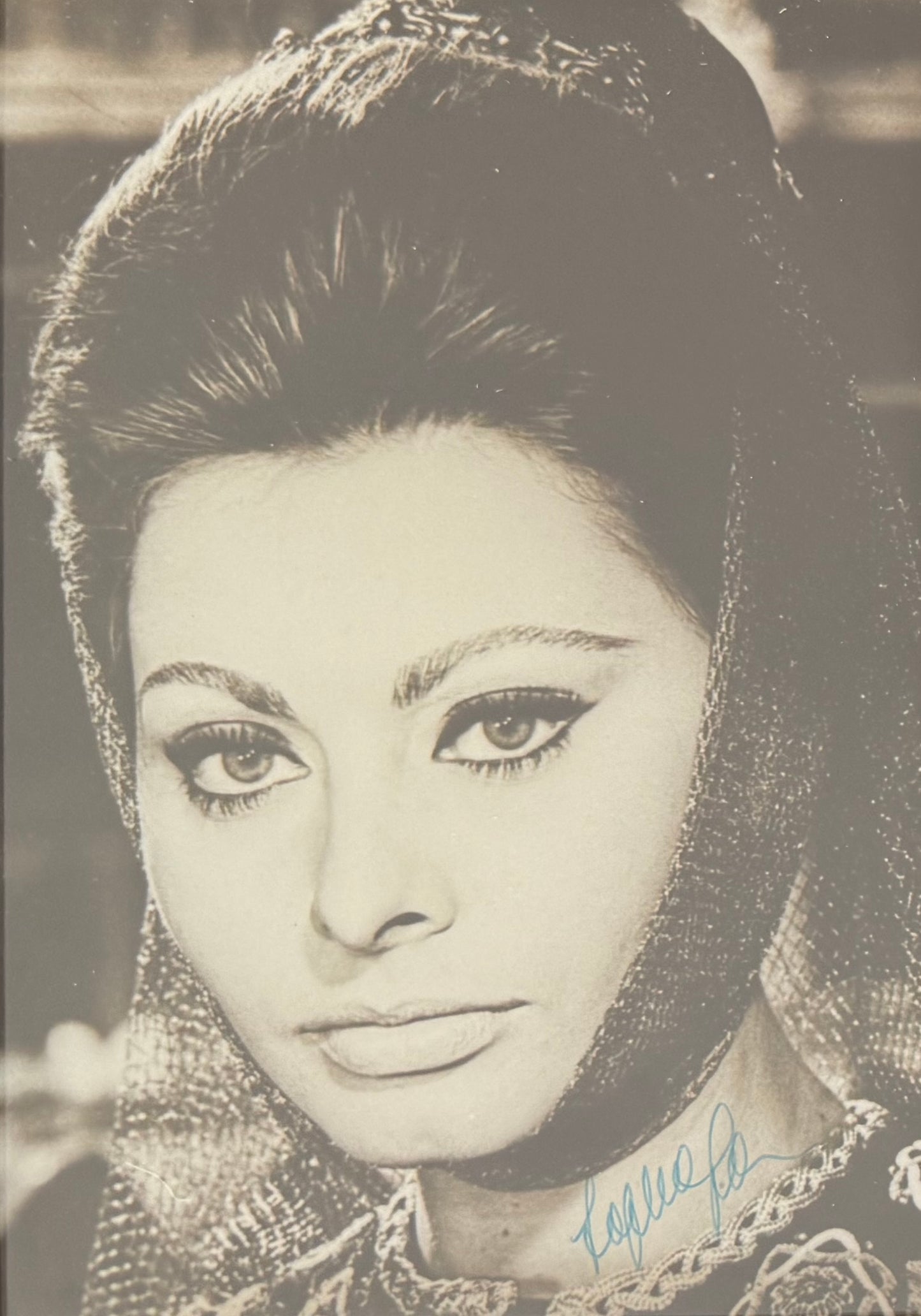 Sophia Loren, Guaranteed Hand Signed Framed (15 x 10cm) Photo With COA