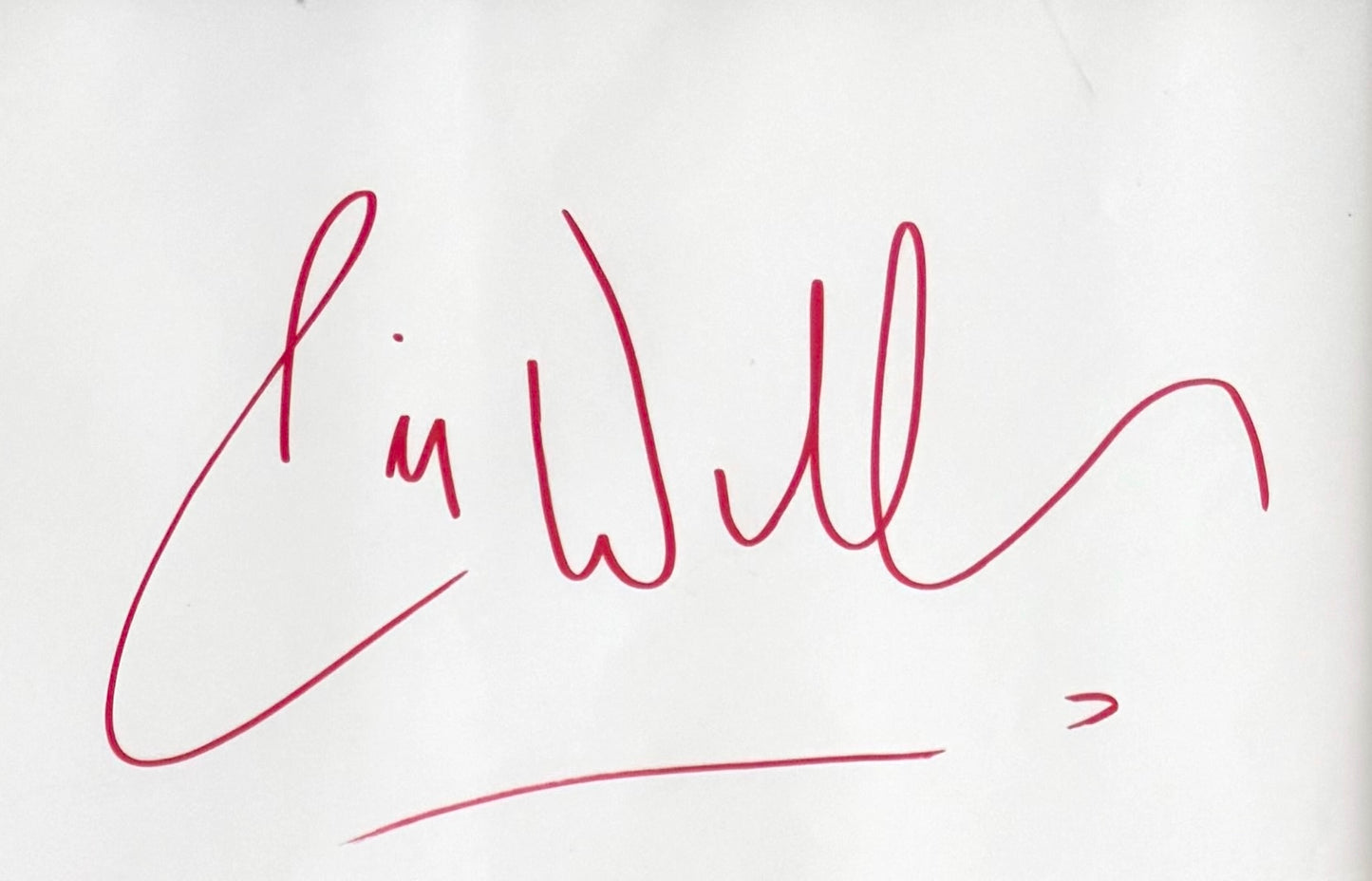 Robin Williams, Comedian, Actor, Hand Signed Framed 'Patch Adams' Mini Poster & COA