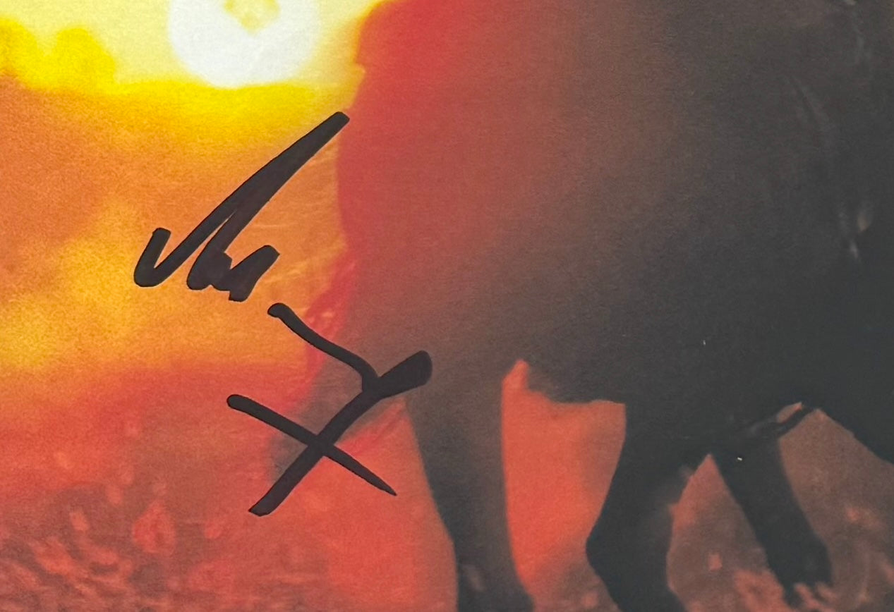 John Williams Composer, Roland Emmerich Director, Hand Signed The Patriot Poster & COA