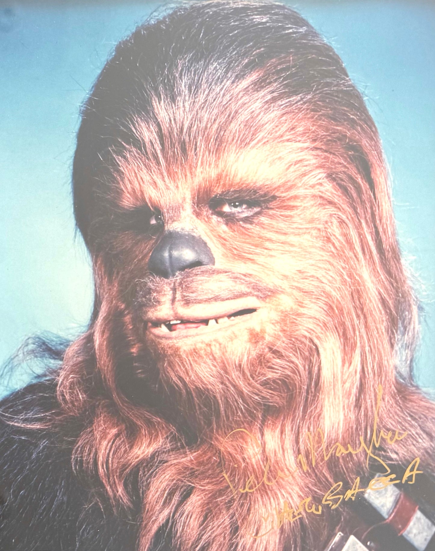 Peter Mayhew Star Wars 'Chewbacca' Actor, Hand Signed Framed Photo & COA