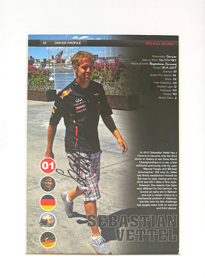 Fernando Alonso Red Bull - Hand Signed Framed Magazine Page & COA