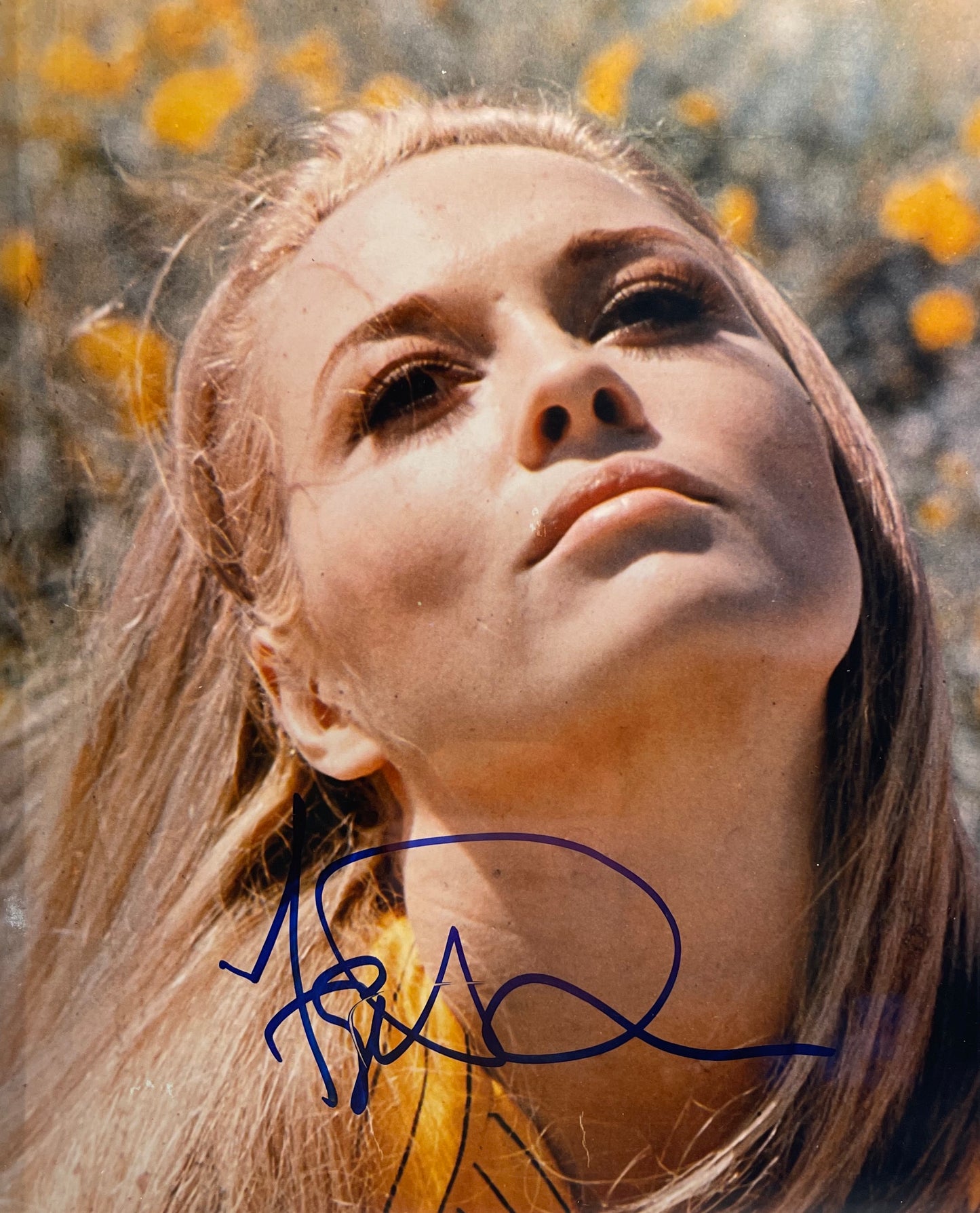 FAYE DUNAWAY U.S. ACTRESS HAND SIGNED PHOTO WITH COA