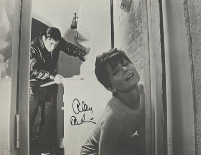 Audrey Hepburn, Iconic British Actress, Hand Signed Original Publicity Photo & COA