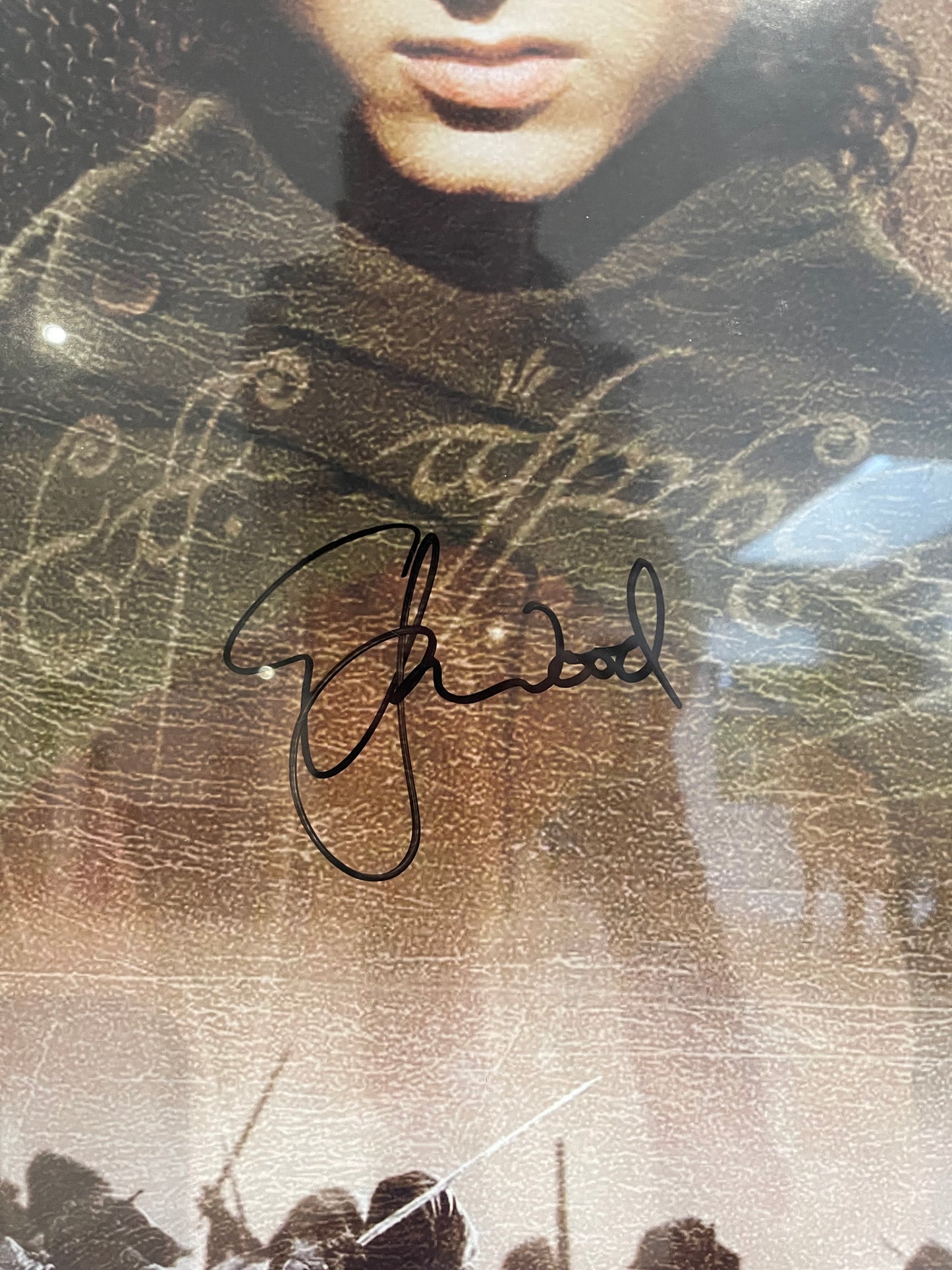 ELIJAH WOOD 'FRODO' HAND SIGNED 'LORD OF THE RINGS' POSTER WITH COA