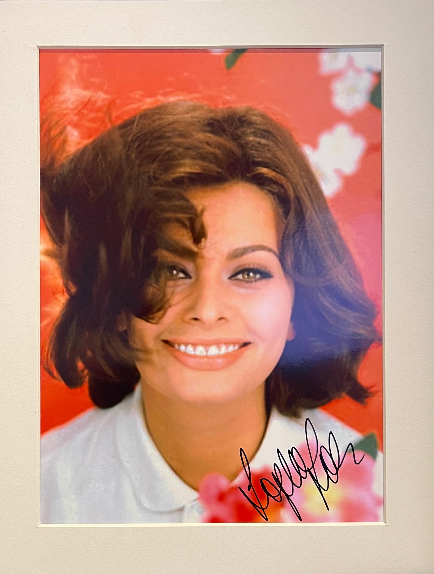 SOPHIA LOREN GUARANTEED HAND SIGNED FRAMED PHOTO WITH AFTAL COA