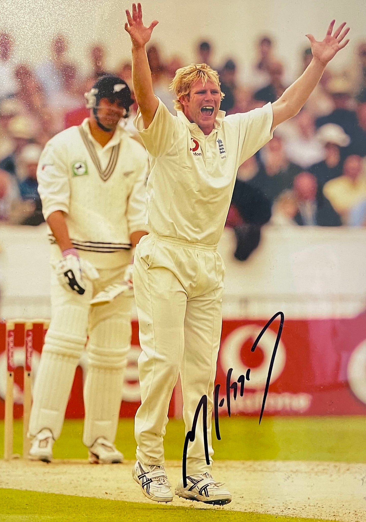 MATTHEW HOGGARD ENGLAND CRICKETER HAND SIGNED FRAMED PHOTO WITH COA