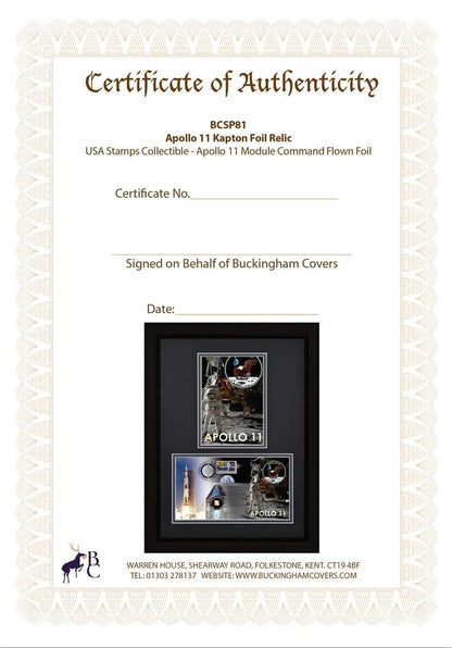 Apollo 11, An Actual Piece Of Flown Kapton Foil Mission Relic Framed FDC, John Reznikoff COA & Authenticated