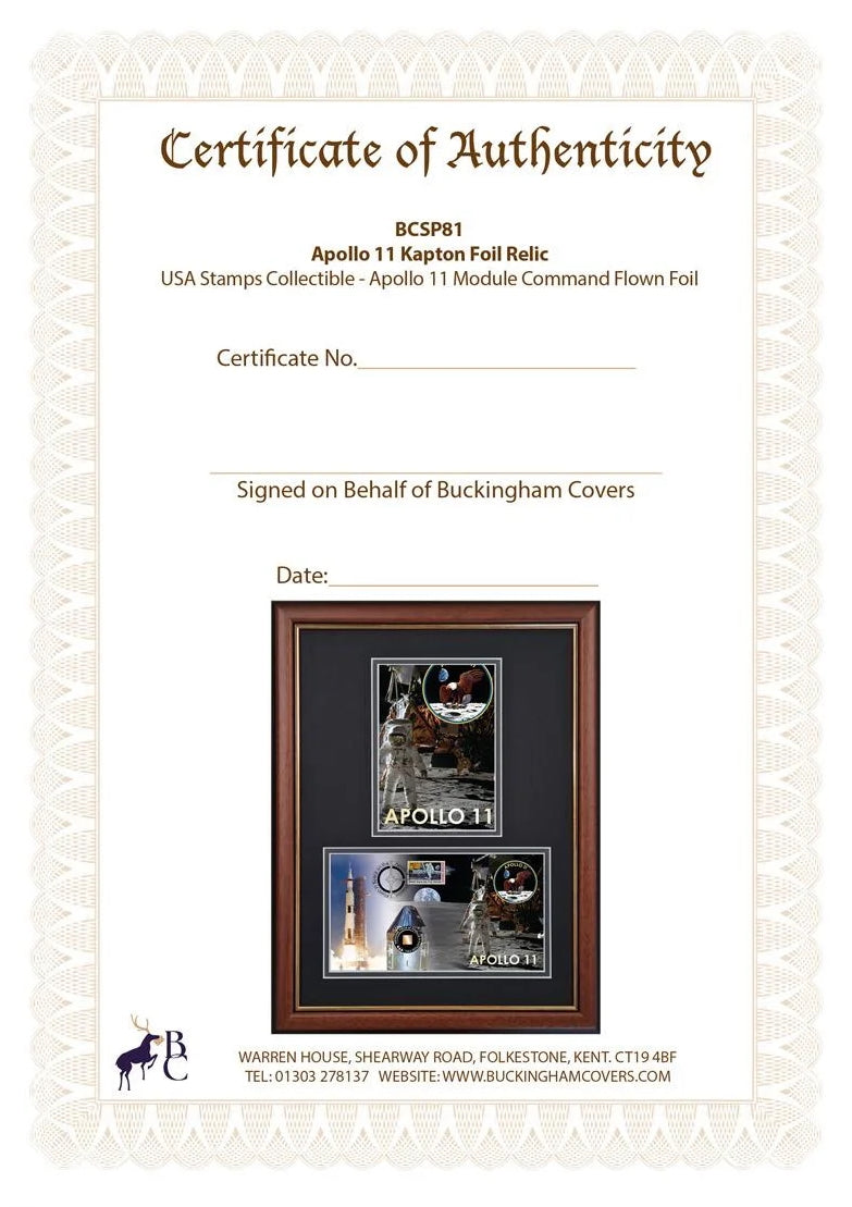 Apollo 11, An Actual Piece Of Flown Kapton Foil Mission Relic Framed FDC, John Reznikoff COA & Authenticated