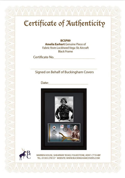 Amelia Earhart, Lockheed Vega 5B, Framed 40cm x 30cm Actual Part Of The Plane Relic, Authenticated COA
